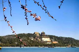 京城拍客今日精选｜春风柳绿时 白塔映山桃图片