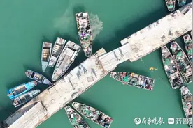 图集|“今秋第一网”上岸，烟台东口渔港码头围满“抢鲜”市民图片