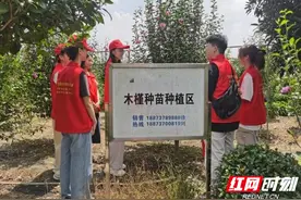 科技兴农显担当 中南林业科技大学赴益阳开展暑期“三下乡”实践活动图片