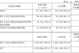绿的谐波：2023年上半年净利润5064.11万元 同比下降44.74%图片