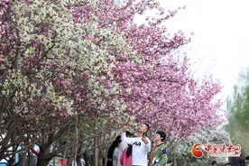 【甘快看】陇拍客丨兰州：春花盛开醉游人图片