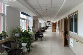 潮声丨穿梭在不同城市，异地养老“香”吗？图片