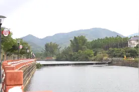 惠州白盆珠镇：立足资源优势，走好特色发展之路图片