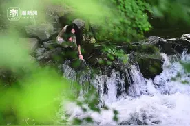 杭州暮春，林间戏水图片