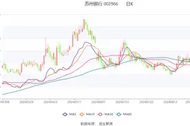 苏州银行：2024年上半年净利润29.53亿元 同比增长12.10%图片