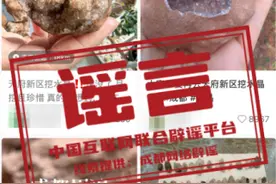今日辟谣（2025年1月10日）图片
