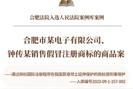 合肥法院入选人民法院案例库案例（六）：合肥市某电子有限公司、钟传某销售假冒注册商标的商品案图片