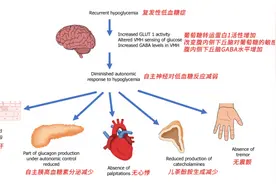 低血糖真的很可怕，严重会要命！！！别再不当回事了！图片