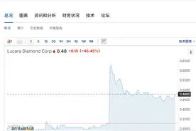 世界第二大钻石，重达2492克拉！开采公司股价一度暴涨80%图片