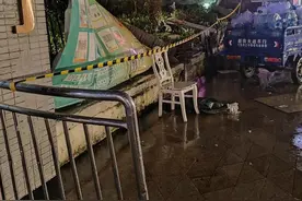 广州花都一小区有大树围墙倒塌：树已清理、墙已围蔽，安保24小时值守图片