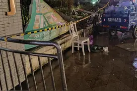 广州花都一小区有大树围墙倒塌：树已清理、墙已围蔽，安保24小时值守图片
