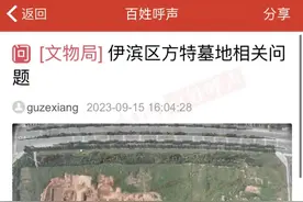 洛阳方特施工场地发掘出古墓？相关部门回复……图片
