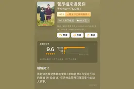9.6分韩剧《苦尽柑来遇见你》完结，于正点赞：演员表演要更新换代了图片