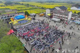 春日绝色看这里！2025年湖北省油菜花节在荆门沙洋盛大开幕图片