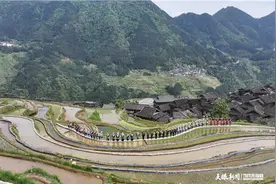 “黎从榕”网联力量 助力加榜梯田“开秧节”图片