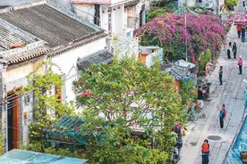 广东省中山市三溪村：藏在城区的“文艺”古村落图片