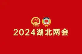 省政协委员：楚商助力武汉打造中国大健康产业“第三极”图片