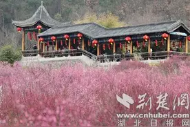 湖北十堰茅箭区：“花样”美景带火“春日经济”图片
