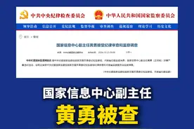 国家信息中心副主任黄勇接受审查调查图片