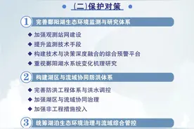 《中国湖泊生态环境研究报告——鄱阳湖》发布，江豚数量突破700头图片