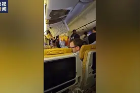 直击新航客机事故：画面显示飞机上一片狼藉图片