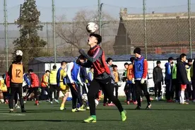 大中小学体育教练员即将“上岗”，广东出台实施细则，广体专家解读图片