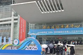 万余岗位引才！2025湖南“文旅+”高质量融合发展人才交流大会启幕图片