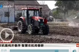 荆州区马山镇：农机轰鸣开春序 智慧农机闹春耕图片