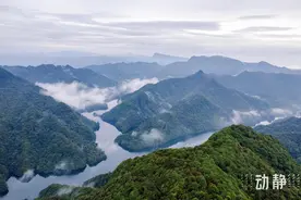 世界地球日丨走进贵州大沙河国家级自然保护区，看野生动植物调查图片