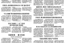 “红心聚融”推动融资租赁业务提质增效图片