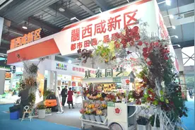 开幕！西咸新区200余种特色农产品亮相农高会图片