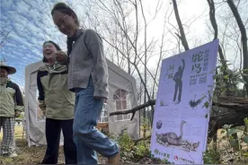 10000枚蛋等你发现！云南野生动物园第20届“寻蛋大会”开始啦图片