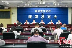 湖北省公安厅发布平安湖北“五年成绩单”图片