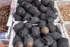 成都街头现高仿冻梨，专家：黑皮是“化妆的”图片