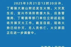 宜兴突发山火！最新消息传来图片