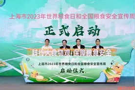 如何多途径开发食物来源？世界粮食日，上海在全市范围内掀起爱粮节粮热潮图片