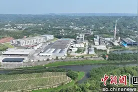 宜宾长宁：小竹子助力民营企业打开大市场图片