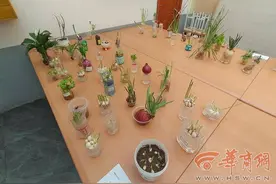 新城区：创新德育品牌 落实立德树人图片