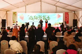 北京昌平区兴寿镇“疯狂草莓季”冬季旅游线路上线图片