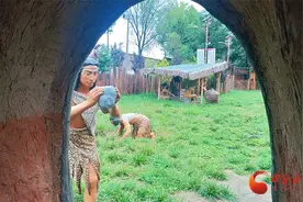 【网络名人看临夏·蝶变季】马家窑文化发现百年 东乡县林家遗址“中华第一刀”讲述千年故事图片