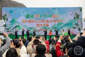 30万亩“阳春白雪”绽放！巫山李花节邀你来赏图片