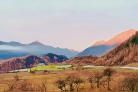 抓住秋天的尾巴，打卡重庆彩叶季图片