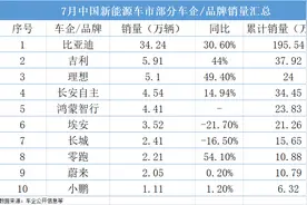 7月新能源车销量榜单出炉，谁在“遥遥领先”图片