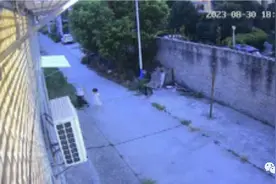 湖北4岁女童疑遭未满12岁男孩杀害，家属：“这男孩太平静了”，案发后不止一次撒谎图片