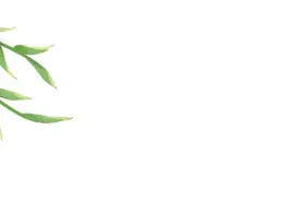 春笋来袭！等一场春雨，尝一口新鲜~图片