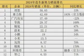 造车新势力年度销量排行榜出炉，插混才是更优解？图片