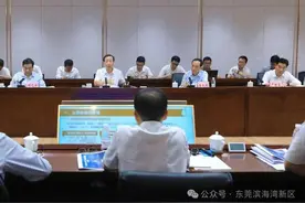 肖亚非：东莞滨海湾深度参与打造“黄金内湾”图片