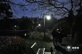 太“卷”了！凌晨错峰来太子湾赏郁金香，有人坐7小时火车一落地就赶来图片