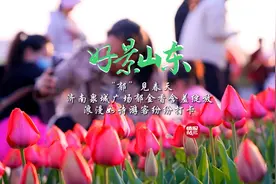 山东踏青赏花地图来了！满满都是壹粉攻略，清明小长假打卡走起图片