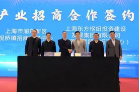 东方枢纽及周边地区专项规划刚落地，浦东这个镇就有大动作图片